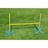 Cool Runners Agility PVA Dog Training Pedestal Jump