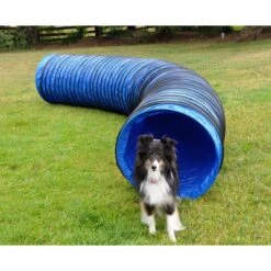 Cool Runners Agility Lightweight PVC Dog Training Tunnel, 15-ft -PetSafe Kong Shop 141164 PT2. AC SS1800 V1519078583