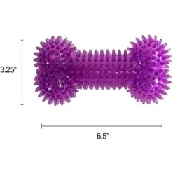 Gnawsome Squeaker Bone Dog Toy, Color Varies -PetSafe Kong Shop 142296 PT7. AC SS1800 V1534452918