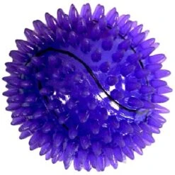 Gnawsome Squeak & Light LED Basketball Dog Toy, Color Varies -PetSafe Kong Shop 142298 PT4. AC SS1800 V1518033635