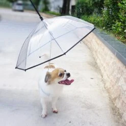 LesyPet Dog Umbrella With Leash 6 LesyPet Dog Umbrella With Leash -PetSafe Kong Shop 142485 PT3. AC SS1800 V1516308935