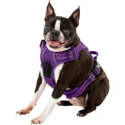 Chai's Choice Premium Outdoor Adventure 3M Polyester Reflective Front Clip Dog Harness -PetSafe Kong Shop 142615 PT2. AC SS1800 V1569544650