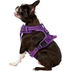Chai's Choice Premium Outdoor Adventure 3M Polyester Reflective Front Clip Dog Harness -PetSafe Kong Shop 142615 PT3. AC SS1800 V1569544672