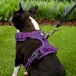 Chai's Choice Premium Outdoor Adventure 3M Polyester Reflective Front Clip Dog Harness -PetSafe Kong Shop 142615 PT4. AC SS1800 V1569544660