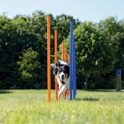 TRIXIE Agility Slalom Dog Training Poles -PetSafe Kong Shop 142806 PT2. AC SS1800 V1517432736