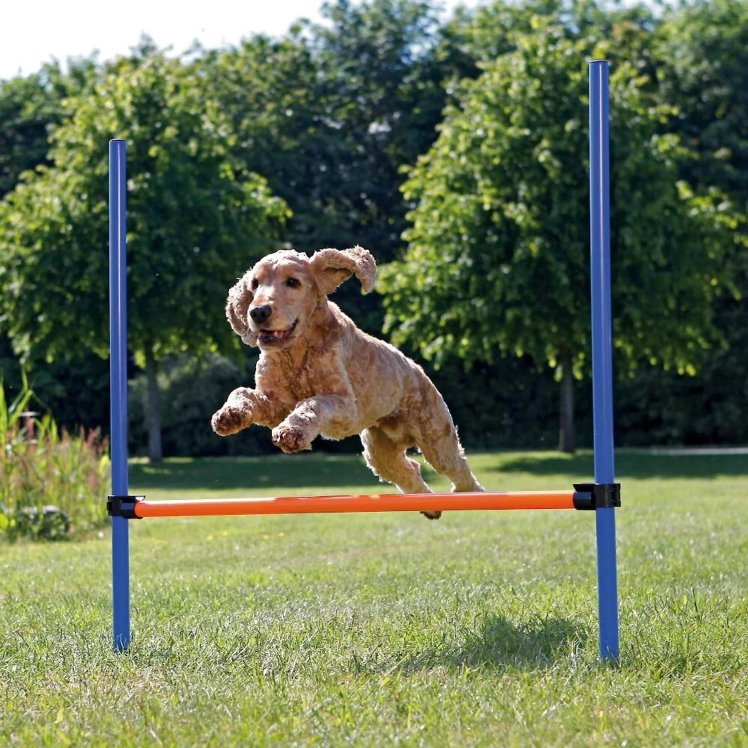 TRIXIE Agility Dog Training Hurdle 2 TRIXIE Agility Dog Training Hurdle - Image 2