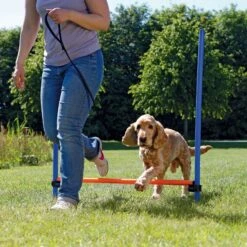 TRIXIE Agility Dog Training Hurdle 7 TRIXIE Agility Dog Training Hurdle -PetSafe Kong Shop 142808 PT2. AC SS1800 V1517432738