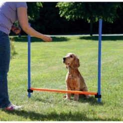 TRIXIE Agility Dog Training Hurdle 8 TRIXIE Agility Dog Training Hurdle -PetSafe Kong Shop 142808 PT3. AC SS1800 V1517432739