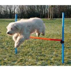 TRIXIE Agility Dog Training Hurdle 9 TRIXIE Agility Dog Training Hurdle -PetSafe Kong Shop 142808 PT4. AC SS1800 V1517432740