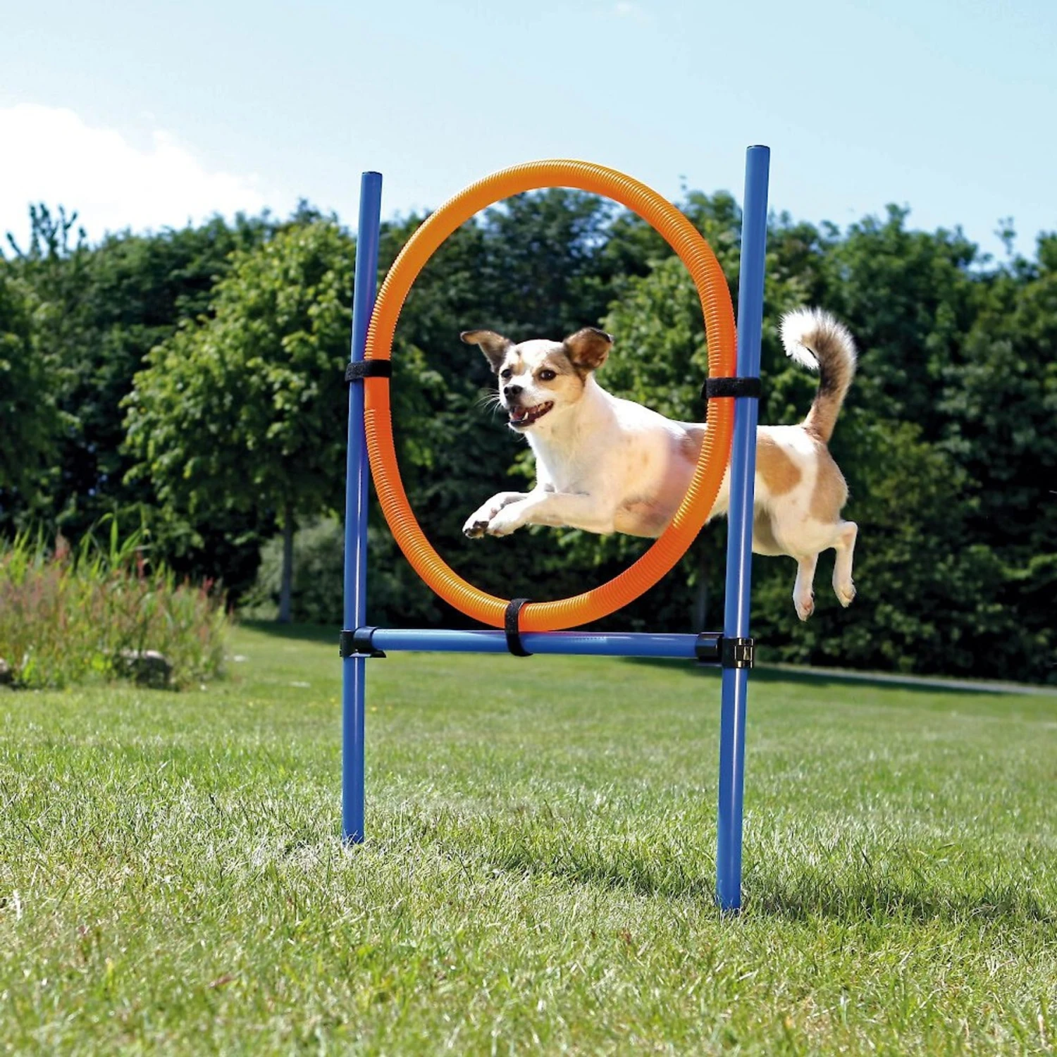 TRIXIE Agility Dog Training Ring 3 TRIXIE Agility Dog Training Ring - Image 3
