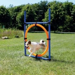 TRIXIE Agility Dog Training Ring 8 TRIXIE Agility Dog Training Ring -PetSafe Kong Shop 142810 PT3. AC SS1800 V1517432742