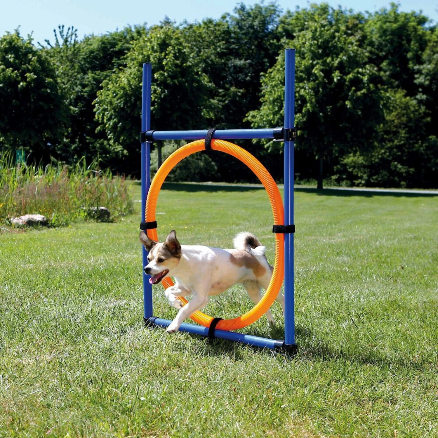 TRIXIE Agility Dog Training Ring 4 TRIXIE Agility Dog Training Ring - Image 4