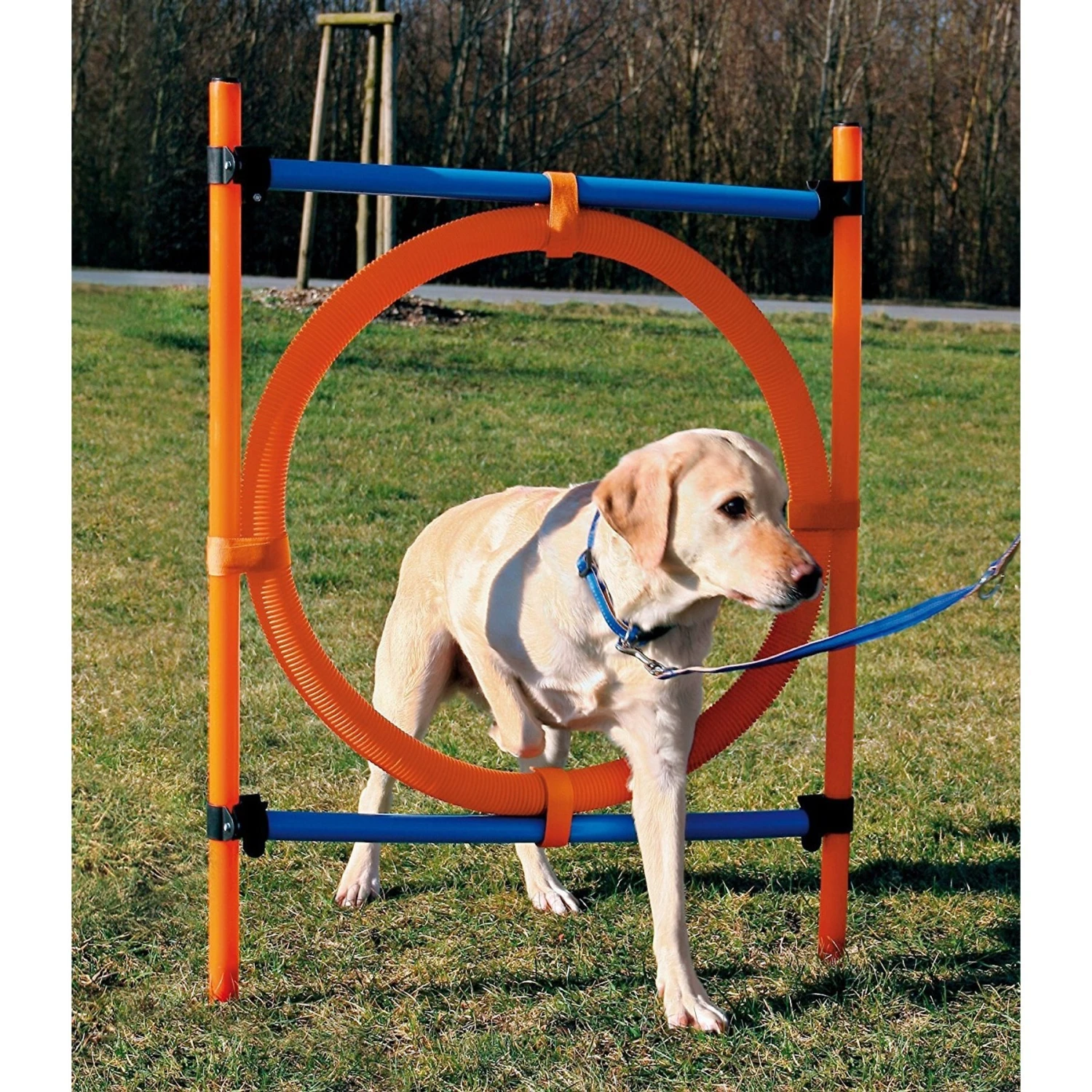 TRIXIE Agility Dog Training Ring 5 TRIXIE Agility Dog Training Ring - Image 5