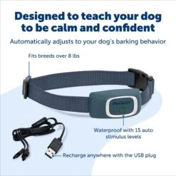 PetSafe Waterproof Rechargeable Dog Bark Collar -PetSafe Kong Shop 142857 PT2. AC SS1800 V1695061177