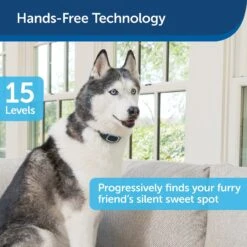 PetSafe Waterproof Rechargeable Dog Bark Collar -PetSafe Kong Shop 142857 PT6. AC SS1800 V1622208783