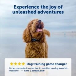 PetSafe Remote Trainer Dog Collar -PetSafe Kong Shop 142861 PT3. AC SS1800 V1696886871