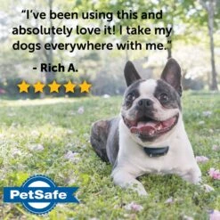 PetSafe Remote Trainer Dog Collar -PetSafe Kong Shop 142861 PT6. AC SS1800 V1627002078