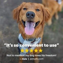 PetSafe Add-A-Dog Waterproof Extra Receiver Collar -PetSafe Kong Shop 142869 PT7. AC SS1800 V1627325176