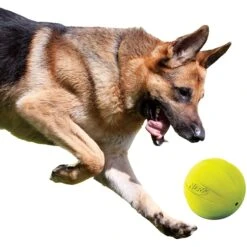 Nerf Dog Squeak Ball Dog Toy, Large 7 Nerf Dog Squeak Ball Dog Toy, Large -PetSafe Kong Shop 142888 PT3. AC SS1800 V1517611571