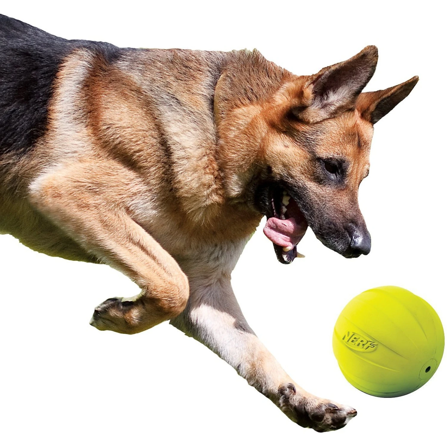 Nerf Dog Squeak Ball Dog Toy, Large 4 Nerf Dog Squeak Ball Dog Toy, Large - Image 4