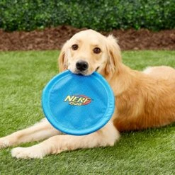 Nerf Dog Nylon Flyer Dog Toy -PetSafe Kong Shop 142892 PT1. AC SS1800 V1545251619