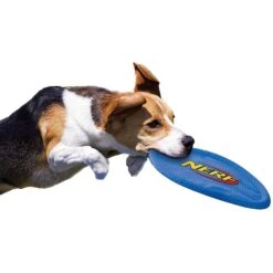Nerf Dog Nylon Flyer Dog Toy -PetSafe Kong Shop 142892 PT3. AC SS1800 V1517611837