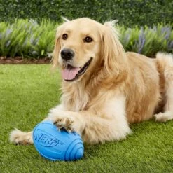 Nerf Dog Ridged Squeak Football Dog Toy, Large 5 Nerf Dog Ridged Squeak Football Dog Toy, Large -PetSafe Kong Shop 142901 PT1. AC SS1800 V1554127166