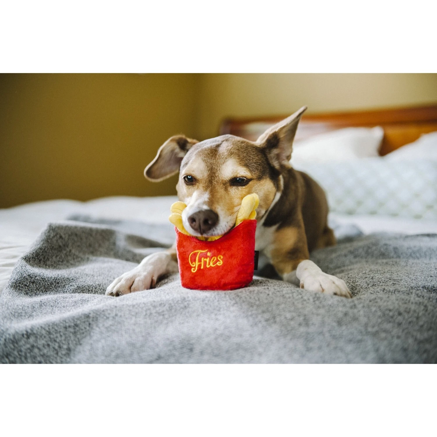 P.L.A.Y. Pet Lifestyle And You American Classic Food French Fries Squeaky Plush Dog Toy 4 P.L.A.Y. Pet Lifestyle And You American Classic Food French Fries Squeaky Plush Dog Toy - Image 4