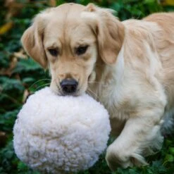 HuggleHounds HuggleFleece Ball Dog Toy -PetSafe Kong Shop 145388 PT3. AC SS1800 V1617339723