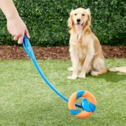 Chuckit! Ultra Ring Launcher Fetch Dog Toy -PetSafe Kong Shop 145393 PT2. AC SS1800 V1550270847