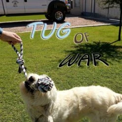 Otterly Pets Assorted Medium To Large Rope Dog Toys -PetSafe Kong Shop 145541 PT2. AC SS1800 V1630446983