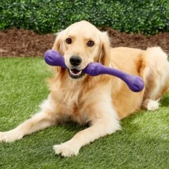 West Paw Echo Collection Zwig Dog Toy 12 West Paw Echo Collection Zwig Dog Toy -PetSafe Kong Shop 145940 PT3. AC SS1800 V1545251825