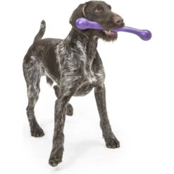 West Paw Echo Collection Zwig Dog Toy 16 West Paw Echo Collection Zwig Dog Toy -PetSafe Kong Shop 145940 PT7. AC SS1800 V1529009793