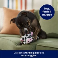 Frisco Cow Plush Squeaky Dog Toy -PetSafe Kong Shop 147003 PT3. AC SS1800 V1686079871