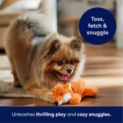Frisco Fox Plush Squeaky Dog Toy -PetSafe Kong Shop 147012 PT4. AC SS1800 V1695671028