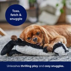 Frisco Skunk Skinny Plush Squeaky Dog Toy -PetSafe Kong Shop 147047 PT4. AC SS1800 V1695659218