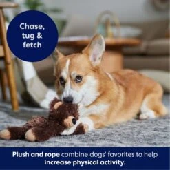 Frisco Bear Plush With Inside Rope Squeaky Dog Toy -PetSafe Kong Shop 147061 PT4. AC SS1800 V1695659155