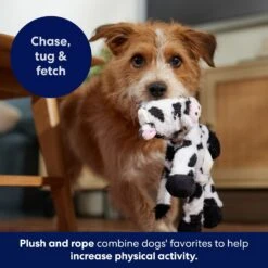 Frisco Cow Plush With Inside Rope Squeaky Dog Toy -PetSafe Kong Shop 147063 PT5. AC SS1800 V1691776574