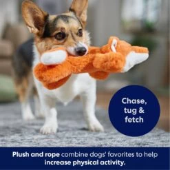 Frisco Fox Plush With Inside Rope Squeaky Dog Toy -PetSafe Kong Shop 147065 PT4. AC SS1800 V1695671059