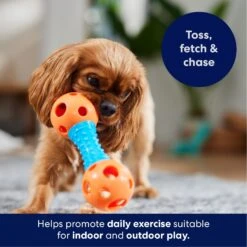 Frisco Dumbbell TPR Fetch Dog Toy -PetSafe Kong Shop 147108 PT3. AC SS1800 V1695241969