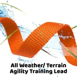 Downtown Pet Supply Training Dog Lead 8 Downtown Pet Supply Training Dog Lead -PetSafe Kong Shop 147867 PT3. AC SS1800 V1627923985