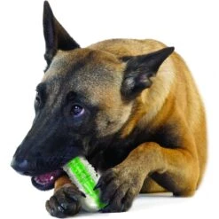 Petstages Crunch A Chew Tough Dog Chew Toy -PetSafe Kong Shop 148090 PT5. AC SS1800 V1636512090