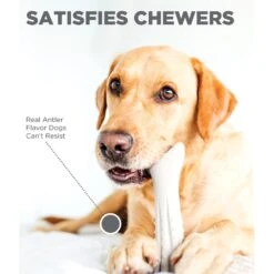 Petstages Deerhorn Tough Dog Chew Toy -PetSafe Kong Shop 148094 PT2. AC SS1800 V1631688714