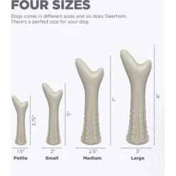 Petstages Deerhorn Tough Dog Chew Toy -PetSafe Kong Shop 148094 PT3. AC SS1800 V1631681553