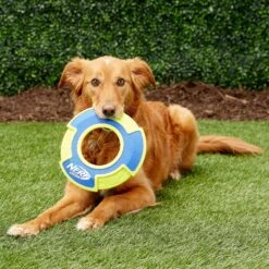 Nerf Dog Nylon & Foam Mega Tuff Fabric Flyer Dog Toy 7 Nerf Dog Nylon & Foam Mega Tuff Fabric Flyer Dog Toy -PetSafe Kong Shop 148504 PT2. AC SS1800 V1545252444