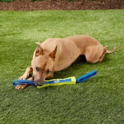 Nerf Dog Nylon & Foam Mega Tuff Fabric Competition Stick Dog Toy 6 Nerf Dog Nylon & Foam Mega Tuff Fabric Competition Stick Dog Toy -PetSafe Kong Shop 148508 PT2. AC SS1800 V1545252470