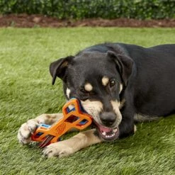 Nerf Dog EXO Treat Dispensing Bone Dog Toy 13 Nerf Dog EXO Treat Dispensing Bone Dog Toy -PetSafe Kong Shop 148525 PT5. AC SS1800 V1531938420