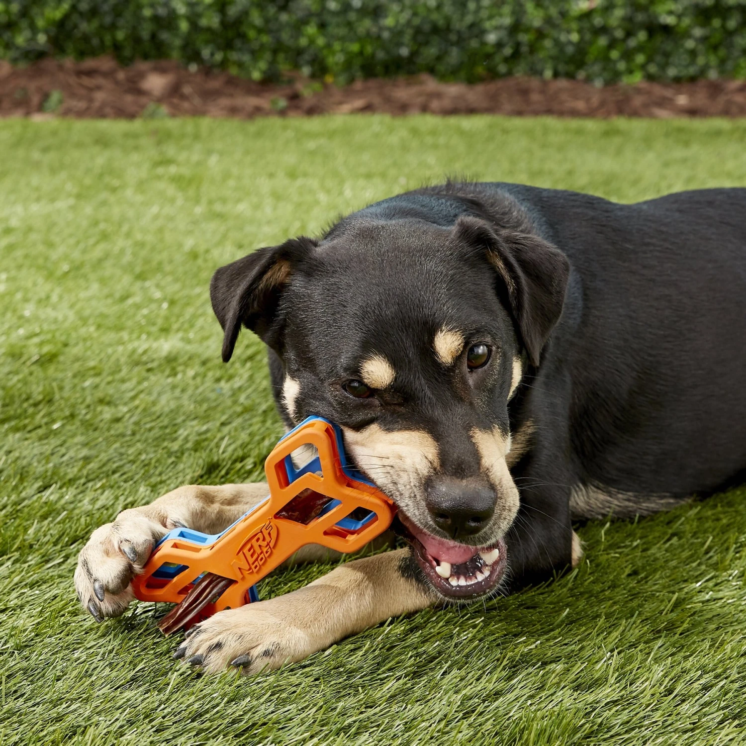 Nerf Dog EXO Treat Dispensing Bone Dog Toy 6 Nerf Dog EXO Treat Dispensing Bone Dog Toy - Image 6