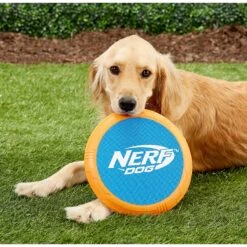 Nerf Dog Flyer Disc Dog Toy -PetSafe Kong Shop 148534 PT1. AC SS1800 V1545252742