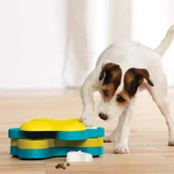 Nina Ottosson By Outward Hound Tornado Puzzle Game Dog Toy -PetSafe Kong Shop 148597 PT5. AC SS1800 V1694286159